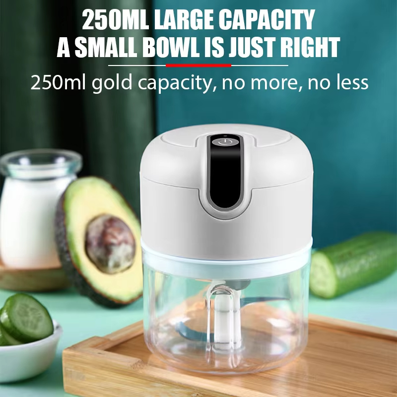 250ML Electric Meat Grinder, G - Meat Grinder Attachment reseña y precio