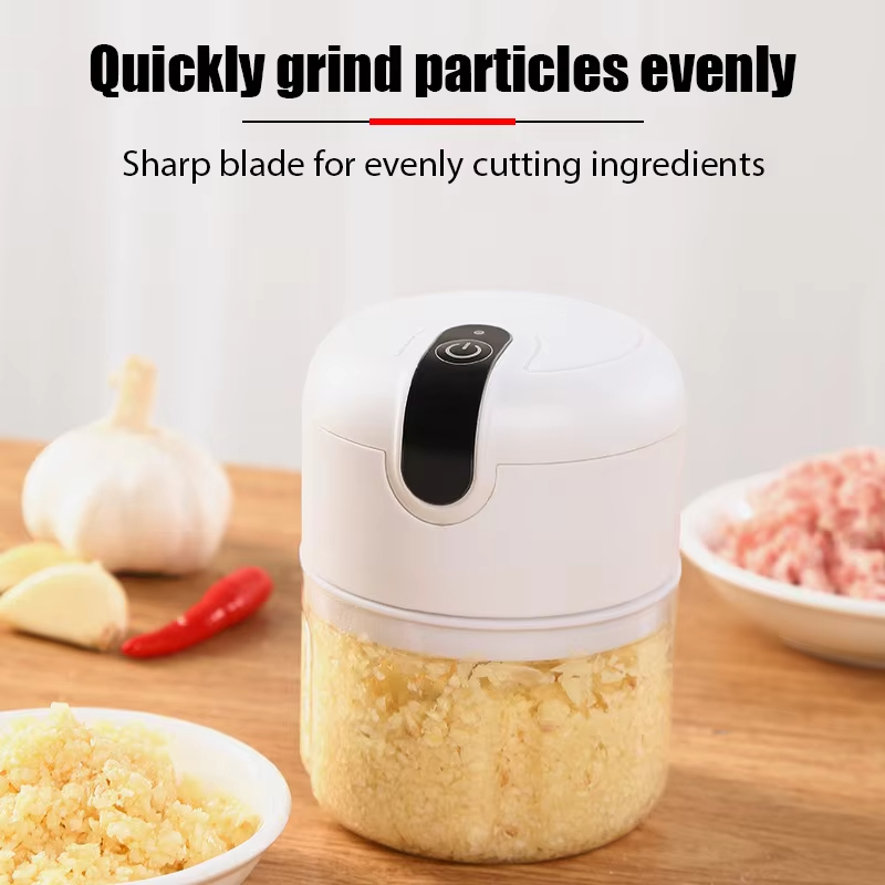 250ML Electric Meat Grinder, G - Meat Grinder Attachment reseña y precio